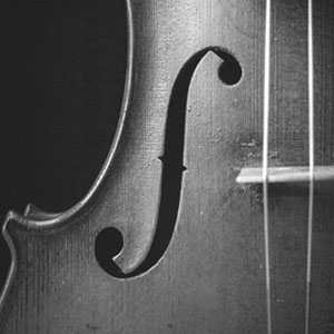 Dynamic & Intimate Strings